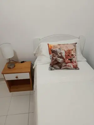 a bed with two cats on a pillow on it at BRISA DEL MAR en primera línea in Torres-Torres