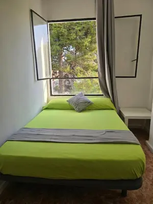 a green bed in a room with a window at Habitaciones La Estación in Algemesí