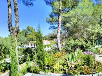 a garden with plants and trees on a sunny day at Luxury villa with swimming pool in the forest in Gilet