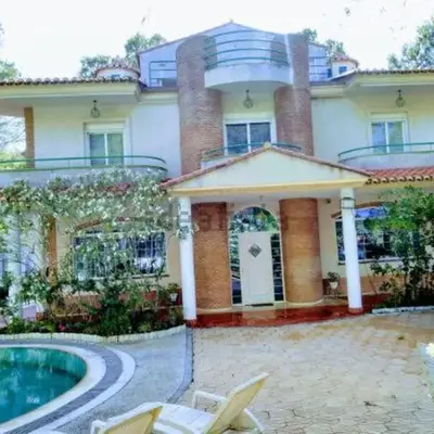 Luxury villa with swimming pool in the forest