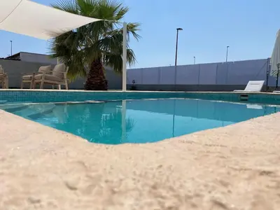 a swimming pool with a palm tree and some chairs at Villatella in Burriana