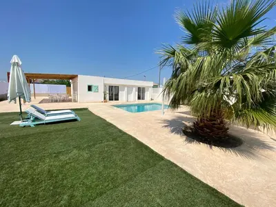a palm tree sitting next to a swimming pool at Villatella in Burriana