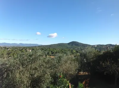 a view of the mountains from a hill with trees at Casa Ramona in Valencia