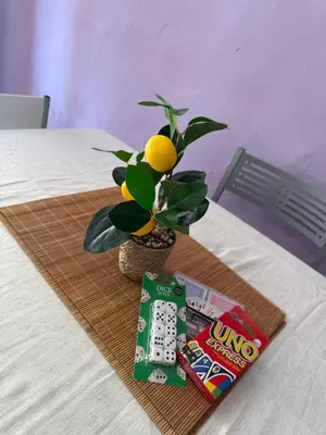 a table with a vase with a plant and chips at Casita con vistas al Castillo de Cullera in Cullera