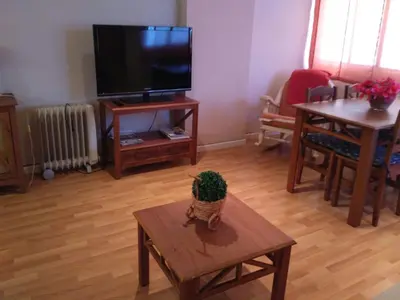 a living room with a tv and a table with a plant at Apartamento Cabañal in Cullera