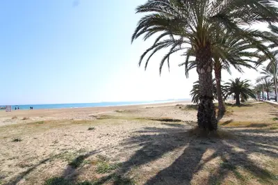 a palm tree casts a shadow on the beach at Global Vacacional, Bonito apartamento cerca de la playa in Puerto de Sagunto