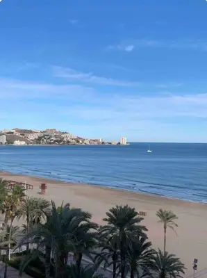 a beach with palm trees and a body of water at Apartamento Oasis in Cullera