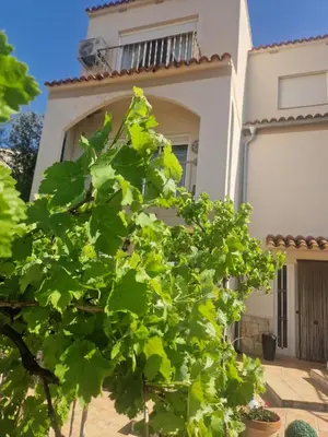 a green tree in front of a house at Quesa Tranquil Valencia in Quesa