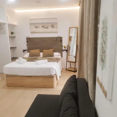 a bedroom with a large bed and a mirror at GO&REST Apartments in Valencia