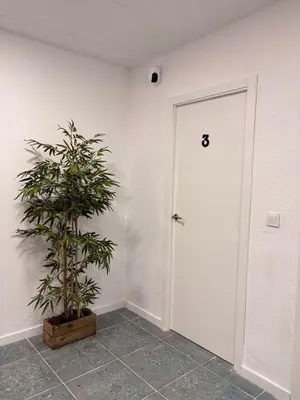 a plant in a room next to a door at LITTLE Hostel in Puerto de Sagunto
