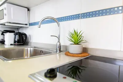 a kitchen with a sink and a plant on the counter at VLC Host - Poeta Llombart in Valencia