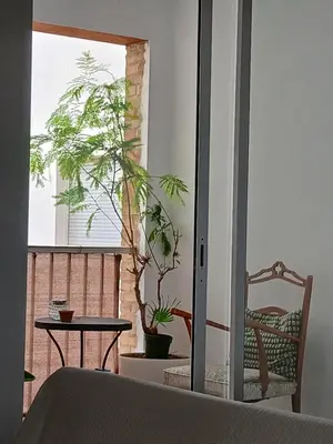 a room with a table and potted plants and a window at El Faro de Nules in Mascarell