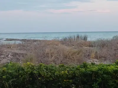 a beach with grass and the ocean in the background at El Faro de Nules in Mascarell