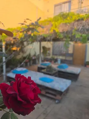 a red rose in front of a table with a red flower at Villa Naranjos - Sauna - Jacuzzi - Gym - BBQ in Picassent