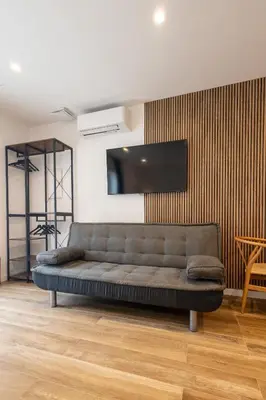 a couch in a living room with a television on a wall at Rice Museum Apartments in Valencia