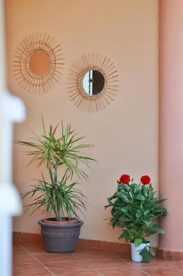 two mirrors on a wall with two potted plants at Your Paradise with Pool - 2 min from Beach in Moncófar