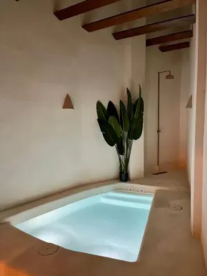 a bath tub in a room with a potted plant at Apartamento acogedor frente a Plaza de la Iglesia in Valencia