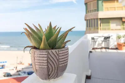a plant in a vase sitting on a wall near the beach at Seaview Apartment N12 in El Perelló