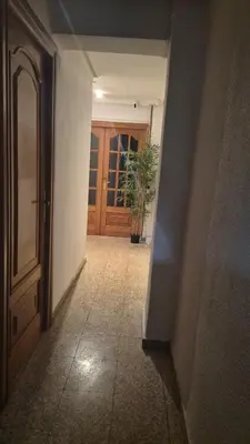 an empty hallway with a door and a potted plant at democracia delux in Valencia