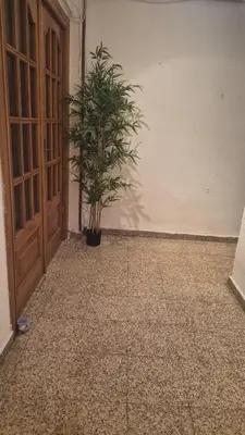 a room with a door and a plant next to a wall at democracia delux in Valencia