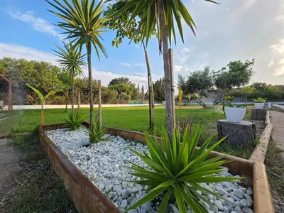 a garden with palm trees and rocks at Villa Entre-Azahar, Tu refugio de tranquilidad in Lliria