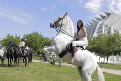 a woman riding a white horse in a park at Cosy Flat Valencia in Masanasa
