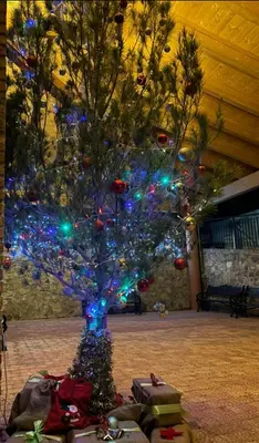 a christmas tree with christmas lights on it at Villa punta RJ in Pavías