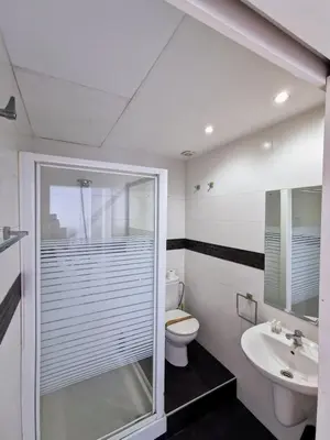 a bathroom with a shower and a toilet and a sink at Apartment Ruzafa Market 7C in Valencia
