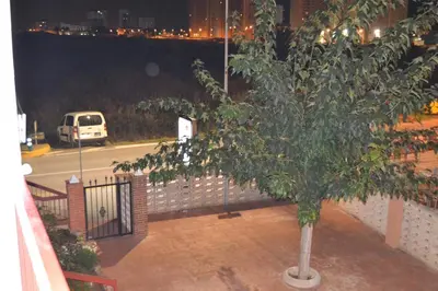 a tree sitting on a sidewalk next to a street at Pobla de Farnals BEACH APARTMENT in Puebla de Farnals