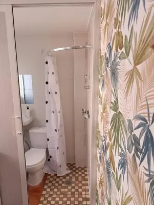 a bathroom with a toilet and a shower at Estudio recién decorado en el mejor centro histórico in Valencia