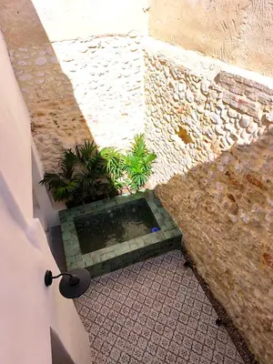 a courtyard with a pool of water and plants at Casa Abadía Alojamiento completo boutique cerca de Valencia in Alfarp