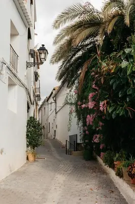 an alley with flowers and a palm tree on a street at Brisas Chulilla Loft with Terrace in Chulilla
