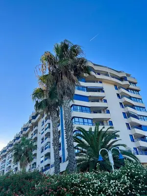two palm trees in front of a building at Beachfront Family Apt in Valencia