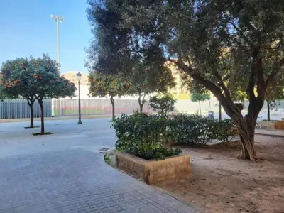 a park with trees and bushes and a sidewalk at Suite de diseño en Roig Arena in Valencia