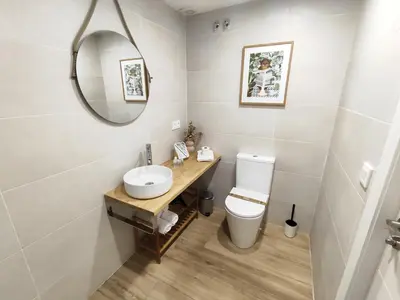 a bathroom with a toilet and a sink and a mirror at Loft acogedor junto al Roig Arena in Valencia