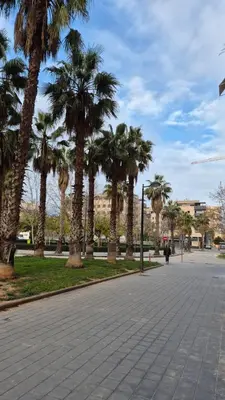 a street with palm trees in a park at Impresionante Apartamento Industrial wifi gratis hasta 4 os encantará in Valencia