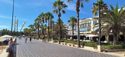 a cobblestone street with palm trees and a building at Apartamento con gran terraza frente al Mar playa Valencia in Valencia