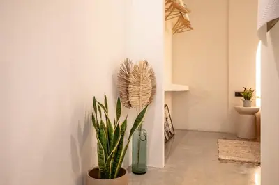 a plant in a vase next to a wall at Suite junto Ciudad de las Ciencias - Manolito 2 in Valencia