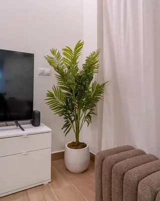 a palm tree in a living room next to a tv at Viva Valencia Apartments - Arte & Reflejos in Valencia