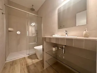 a bathroom with a shower and a sink and a toilet at Joaquin Costa Urban Flat in Valencia