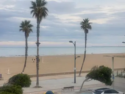 a group of palm trees on a beach at Apartamento en primera línea de playa 38 in Valencia