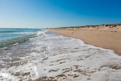 a sandy beach with footprints in the sand at Cosy Flat Catarroja in Catarroja
