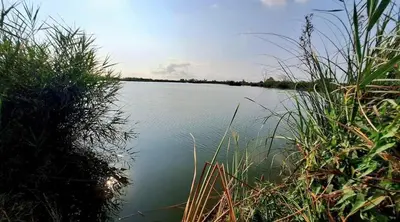 a large body of water with grass in the foreground at Chalet adosado junto al mar en Almarda Sagunto in Almarda