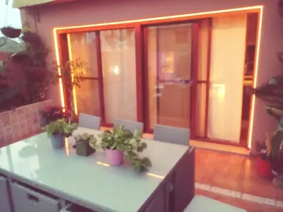 a kitchen with potted plants on top of a counter at Acogedor y exótico hogar con piscina privada in Rafelguaraf