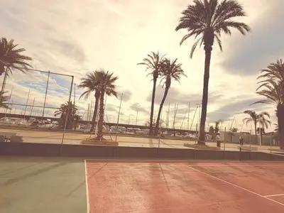a group of palm trees on a tennis court at Puerto Beach House in Puebla de Farnals