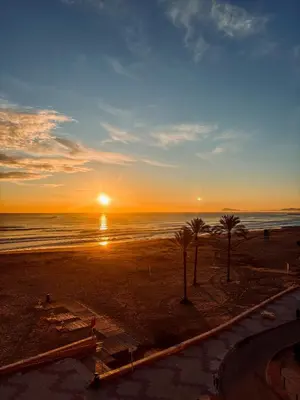 a sunset on the beach with palm trees at Primera línea en playa de Cullera in Cullera