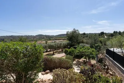 a view of a garden with trees and bushes at Tiny House Long-term remote work near Valencia in Monserrat