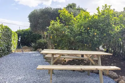 a wooden picnic table in front of an orange tree at Tiny House Long-term remote work near Valencia in Monserrat