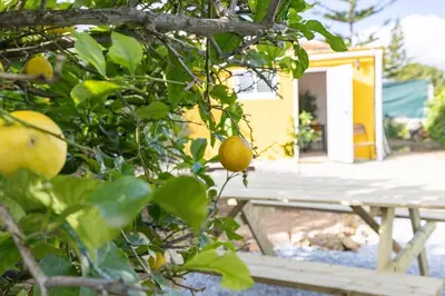 a lemon tree with a table in front of a house at Tiny House Long-term remote work near Valencia in Monserrat