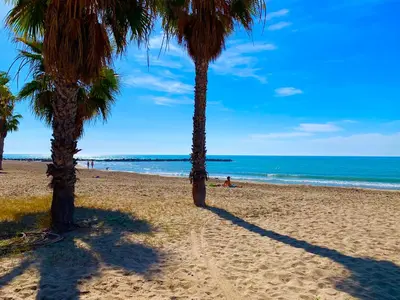 two palm trees on a sandy beach with the ocean at Casa Pera in Chilches